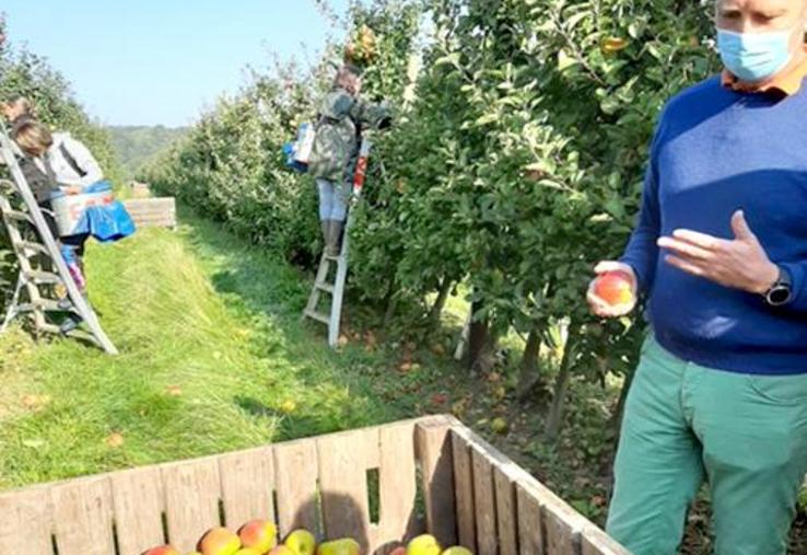 Bernard Nicolaï, en pleine récolte de ses pommes au Domaine de Moismont, revient sur les différentes étapes de production.