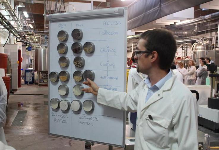 Extractis et Improve sont spécialisées dans le développement de la biomasse végétale.