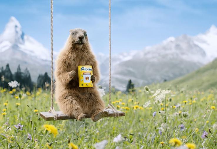 Ricola vend aujourd’hui son savoir-faire aux quatre coins du monde et garde jalousement ses secrets de fabrication. 