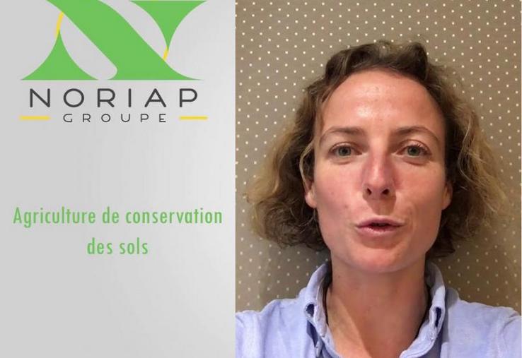Sarah Singla, agricultrice et spécialiste de l'agriculture de conservation, est l'invitée de Noriap après avoir contribué à la formation d'une centaine d'agriculteurs adhérents de la coopérative en ACS en 2019.