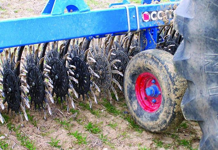 Essai de désherbage mécanique avec une houe rotative et une herse étrille sur blé.