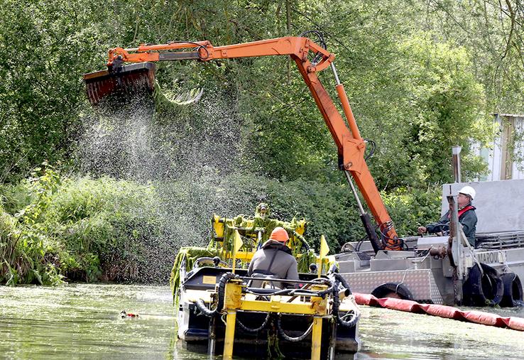 Le faucardeur, sorte de taille haie hydrolique, coupe la plante à une profondeur  de 2 m. 630 000 m² seront ainsi traités cette année. 