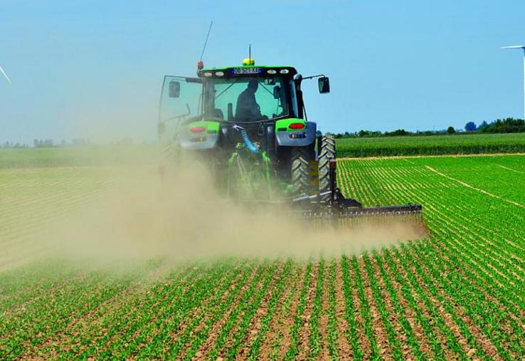 La houe rotative permet de passer sur 100 % de la surface tant sur les parcelles de pois que de légumes verts.