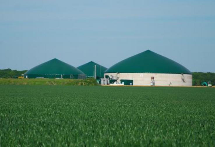 La filière s'attend à un arrêt des nouvelles contractualisations durant «plusieurs mois, voire années».