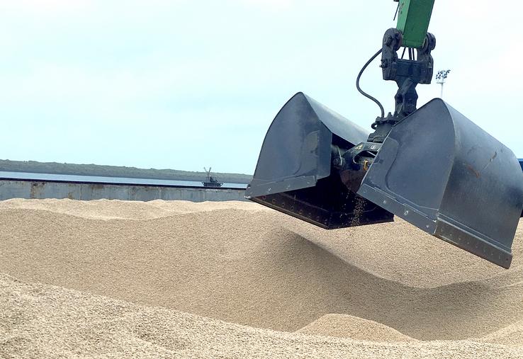 Dans l’ensemble, la plupart des prix des produits agricoles sont revenus à leur niveau d’avant crise, voire à un niveau supérieur. C’est le cas, entre autres, des céréales. 