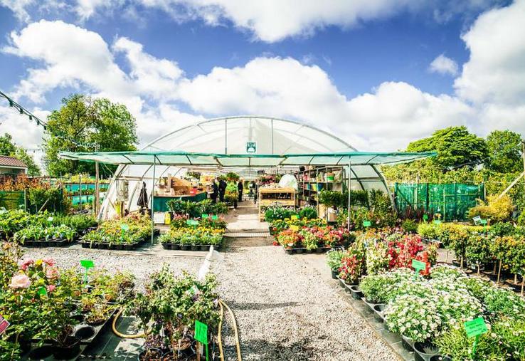 Les serres de Villers-Campsart ont été obligées de fermer. Le gérant, Frédéric Lemaire, espère que les magasins alimentaires restés ouverts ne feront pas de concurrence déloyale pour les plantes.