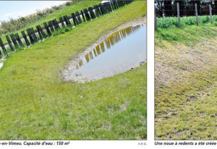 Une mare d’expansion sur la commune d’Acheux-en-Vimeu. Capacité d’eau : 150 m2. Une noue à redents a été créée le long du chemin AFR à Miannay.