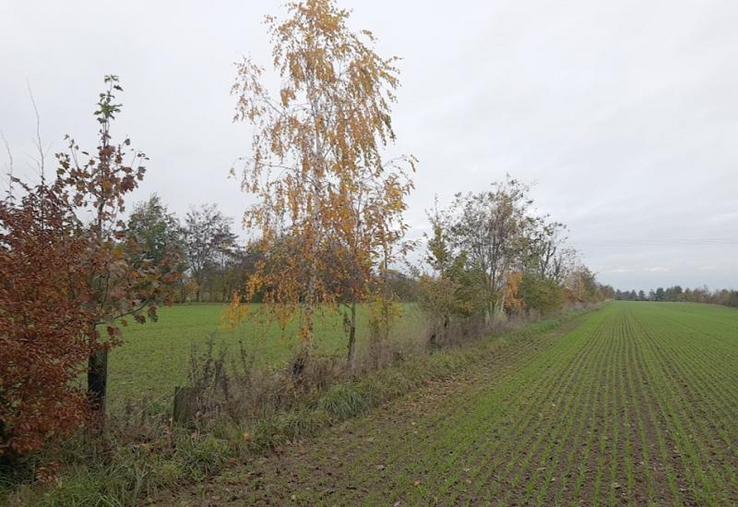 Depuis 2020, les pratiques agroforestières ont leur concours au salon de l’agriculture.
