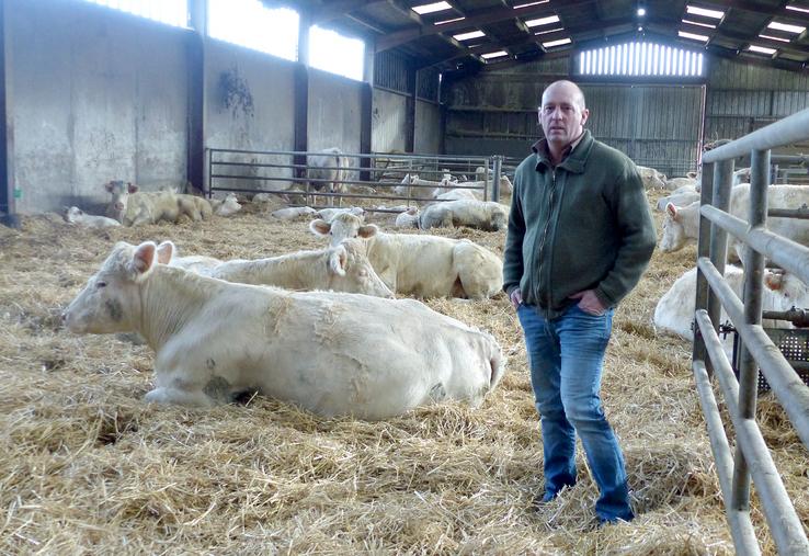 Le troupeau de Cyril Périllier est essentiellement nourri à l’herbe : une démarche essentielle pour satisfaire ses clients  en termes de qualité. 