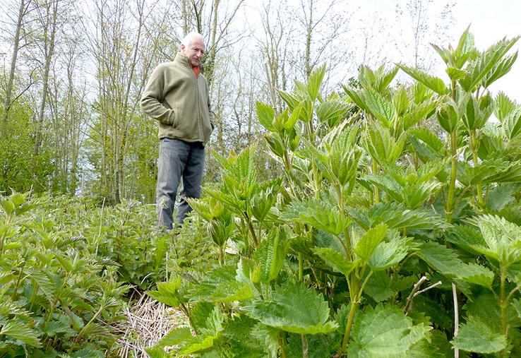 Hugues d’Hautefeuille a testé plusieurs itinéraires culturaux dans ses micro-parcelles, à Monsures. 