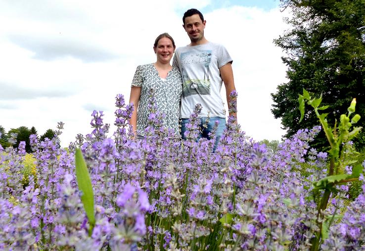 Audrey et Laurent Massot ont planté les premiers pieds de lavandin en 2018, puis ont diversifié les espèces des plantes chaque année. 