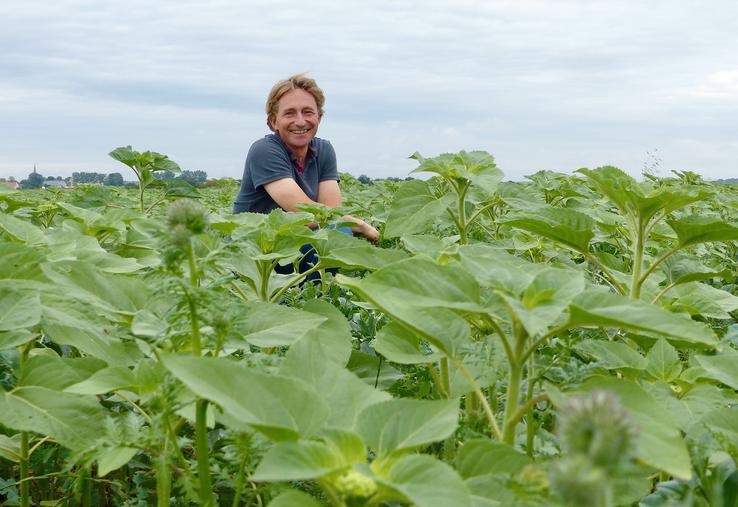 Thomas Leroux expliquera, au grand public entre autres, que le couvert d’interculture (ici phacélie, colza, tournesol, vesce, radis chinois, féverole, sorgho  et pois fourrager) est déterminant pour la culture suivante. 