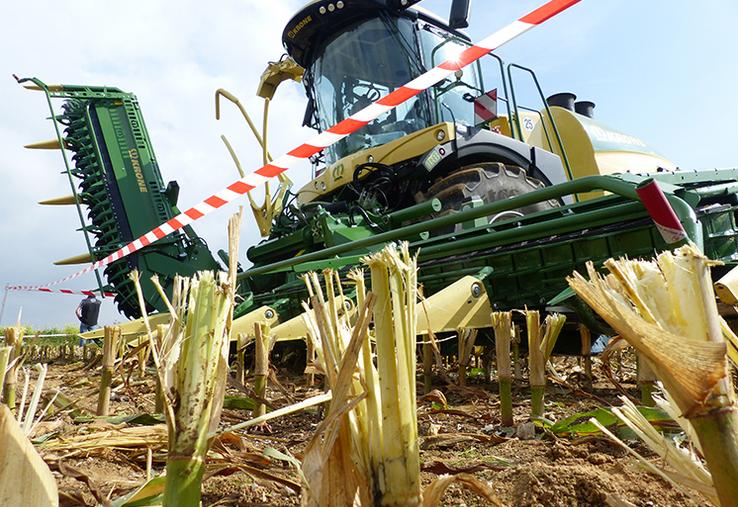 Grâce à ce nouveau bec de Krone, les cannes de maïs au sol sont bien déchiquetées, donc sèchent plus vite. C’est autant moins de nourriture apportée aux parasites.