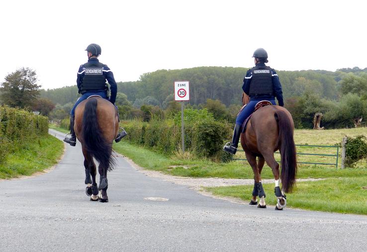 Les gendarmes à cheval sont parfaitement adaptés au territoire de la Baie de Somme : accès aux endroits accidentés, préservation de l’environnement, contact facilité avec la population… 