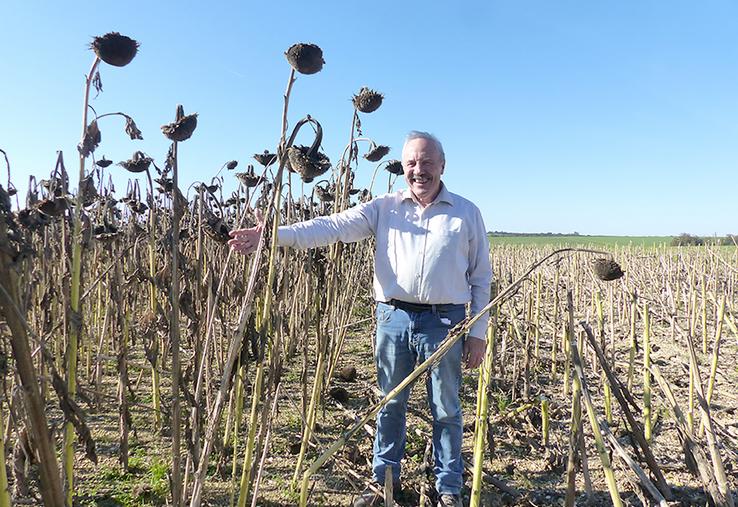 Malgré la déception à la récolte, Jean-Michel Van Ooteghem croit en cette nouvelle tête d’assolement pour ses petites terres. Il compte en semer 18 ha au printemps prochain. 