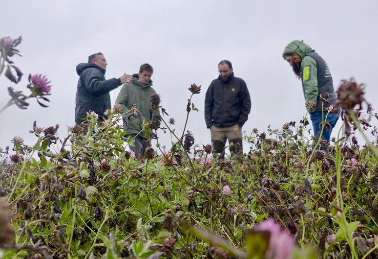 Romain et Valentin Courtin vivent leur dernière campagne de C2 et sont plutôt confiants : «La technique est bien maîtrisée, notre seule crainte repose sur les prix», confient-ils. Ce 25 novembre, ils faisaient le point avec Vincent Dusannier (Noriap,  à g.) et Louison Caron (Bio en Hauts-de-France, à dr.). 