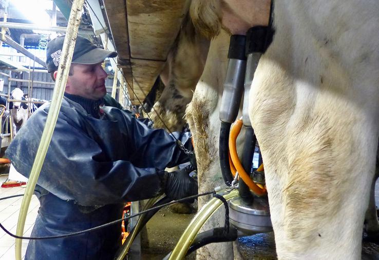 Pour Vincent Potriquet, la viabilité de son exploitation passe par la bonne santé de ses vaches et de ses terres. 