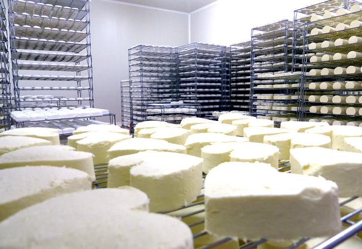 Pierre Villiers transforme le lait des 86 vaches de l’exploitation familiale – à 70 % des normandes – en fromage. 