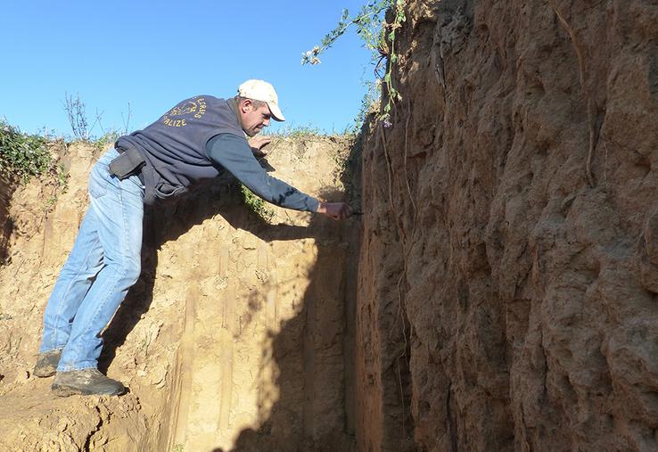 Le couvert permanent de luzerne améliore la structure du sol, et donc sa qualité. Mathieu Cavillon a pu le mesurer lors d’un profil de sol. 