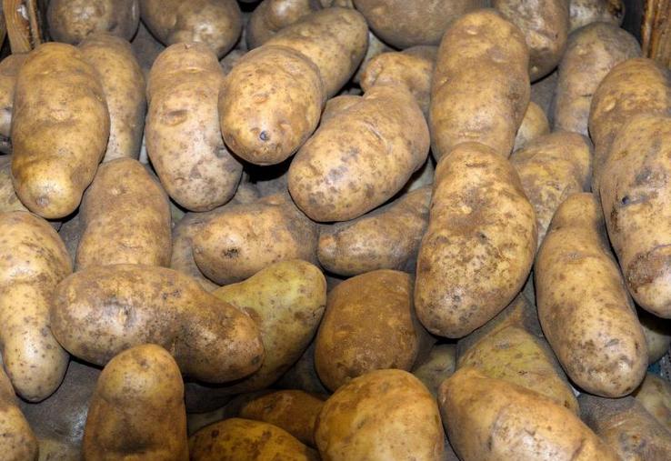 Le retour des températures basses va permettre de finir de sécher les tas dans lesquels une forte condensation s’était produite.