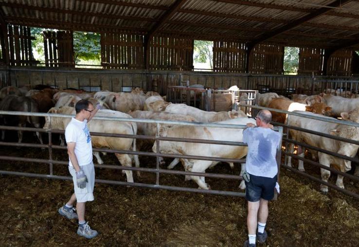 La santé physique et mentale des éleveurs représente un risque réel qu’il convient de ne pas négliger et qui concerne chacun d’entre nous.