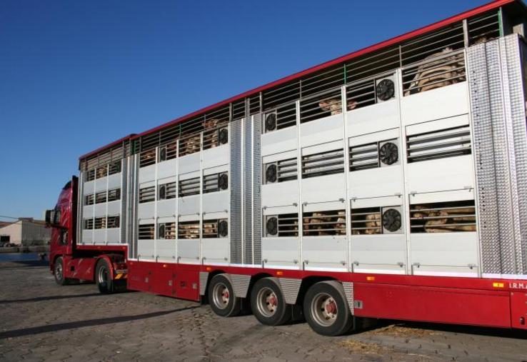 La circulation des animaux par la route est suspendue lorsque les températures dépassent les 30°.