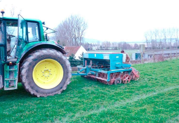 Sursemis de trèfle blanc par un semoir à disques. 