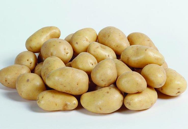 on cultiverait en Nord-Pas-de-Calais et en Picardie quelque 97 320 hectares de pommes de terre pour 4,3 millions de tonnes récoltées, sur environ 4% de la SAU régionale. 22% des agriculteurs la produisent, soit 5 640 exploitations. 