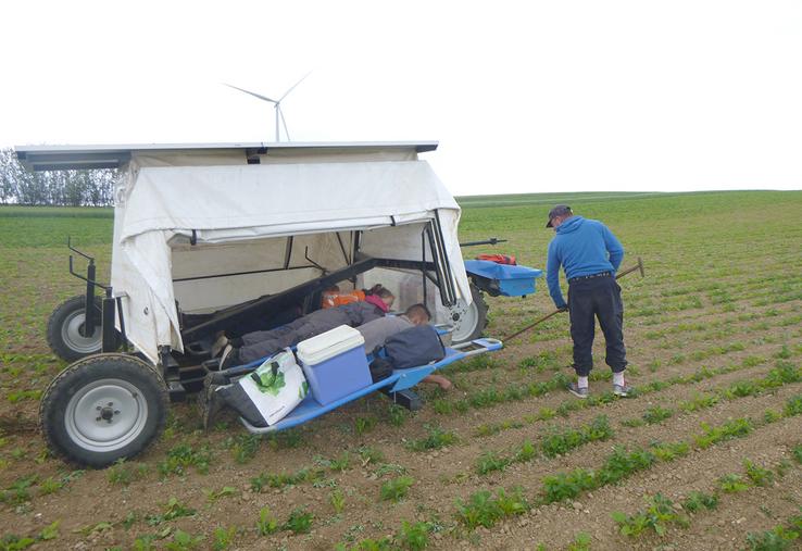 Le bedweeder réduit significativement la pénibilité du désherbage manuel. 