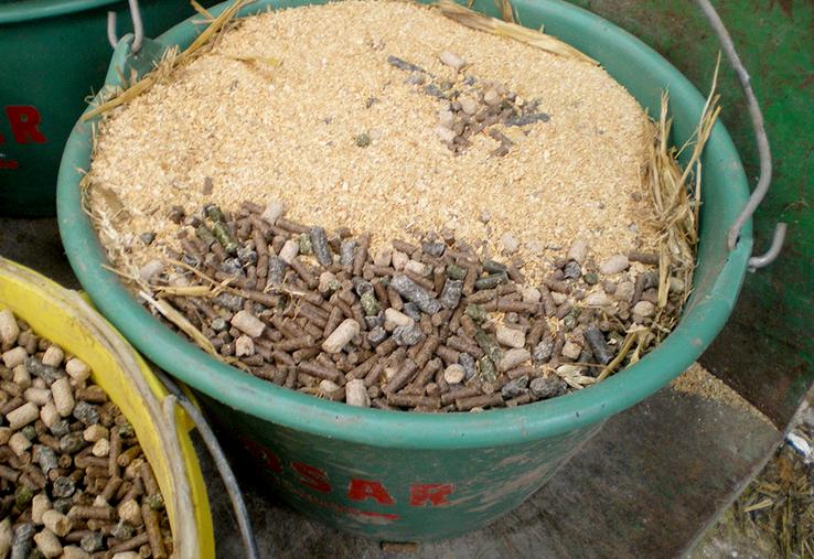 La pesée des seaux est indispensable pour limiter le gaspillage.