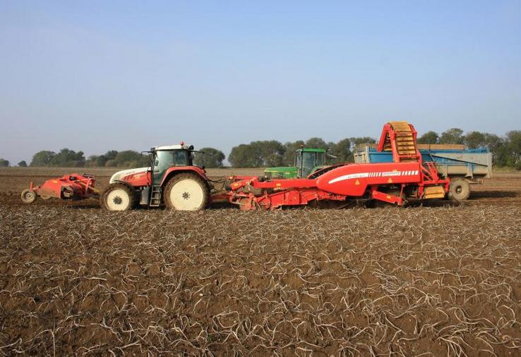 Il n’est pas rare de voir, dans la région, des producteurs de pommes de terre belges qui repartent avec leur production
en camion.