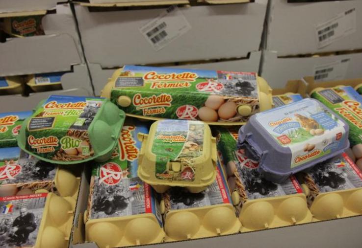 Cocorette commercialise 700 millions d'oeufs, dont 80% d'alternatifs.