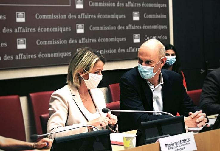 Devant ses anciens collègues de la Commission du développement durable, Barbara Pompili a dressé la liste des responsabilités face à l'échec de l'interdiction des NNI et l'absence d'alternatives.