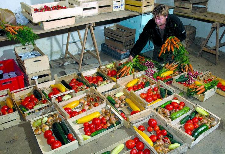 Les Français se déclarent majoritairement prêts à payer plus chers les produits agricoles pour assurer un revenu correct aux agriculteurs.