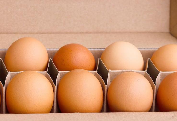 Si le consommateur dit vouloir des œufs d’élevage dans lesquels on exclut l’élimination des poussins mâles, il y a un surcoût qui reste difficile à faire accepter.