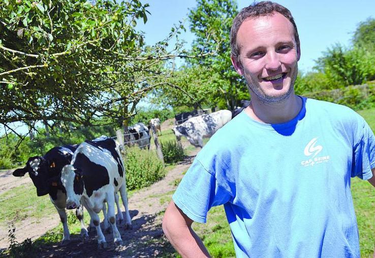 Les vaches passeront en bio l’an prochain.