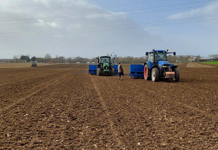 Semis de betteraves semences