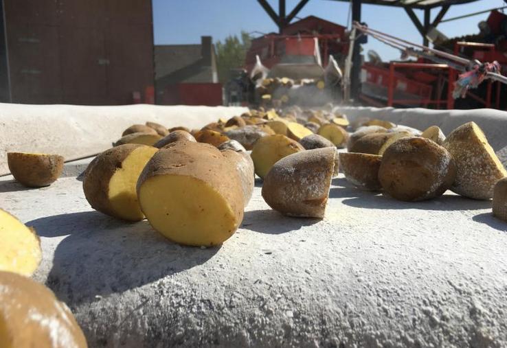 Cap Plants veut doubler de taille en quatre ans grâce notamment à un «prototype innovant» de découpe.