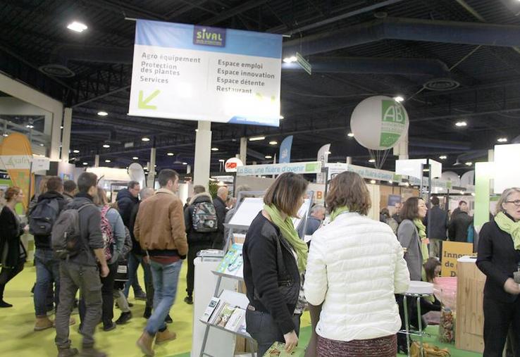 Au-delà de la France, le Sival affirme ses ambitions internationales, avec 15 % d’exposants étrangers, de nombreuses délégations étrangères et un partenariat annoncé au Sival 2019 avec le salon italien des fruits et légumes Macfrut.