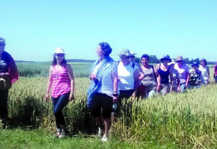 Le groupe chez Bonduelle... et sur le site de l'Inra.