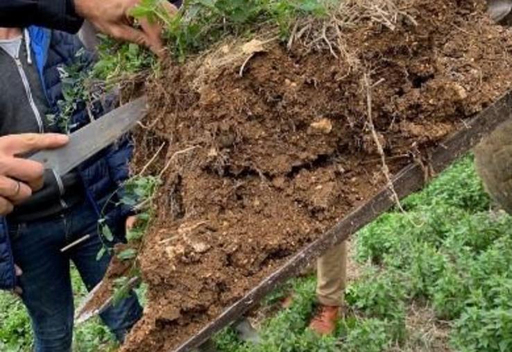 Toutes les classes du lycée en rapport avec l’agriculture participent au projet, puisque les essais sont menés à plusieurs niveaux.