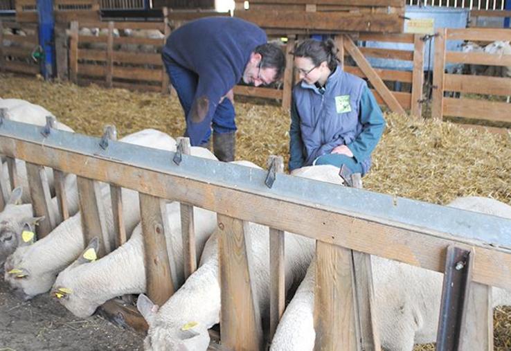 La surveillance des mamelles reste de rigueur.