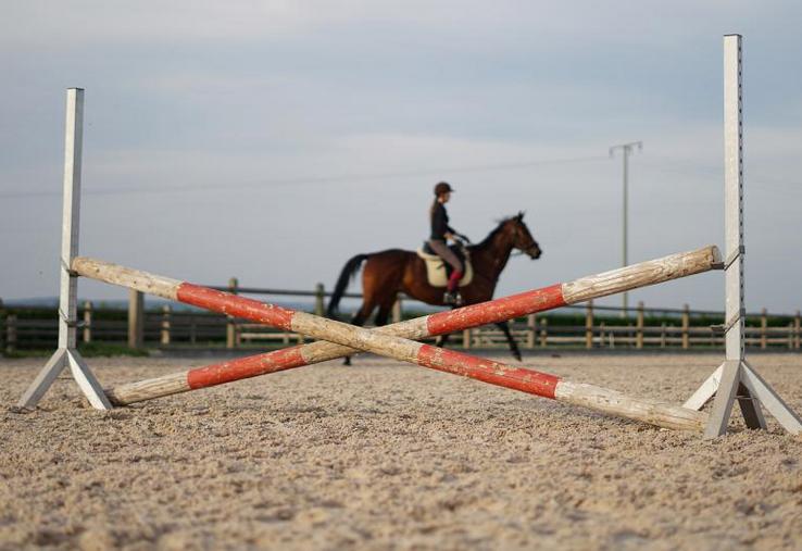 Les propriétaires de chevaux sont priés de rester chez eux. A l'écurie, il faut s'organiser pour s'occuper de chaque équidé.