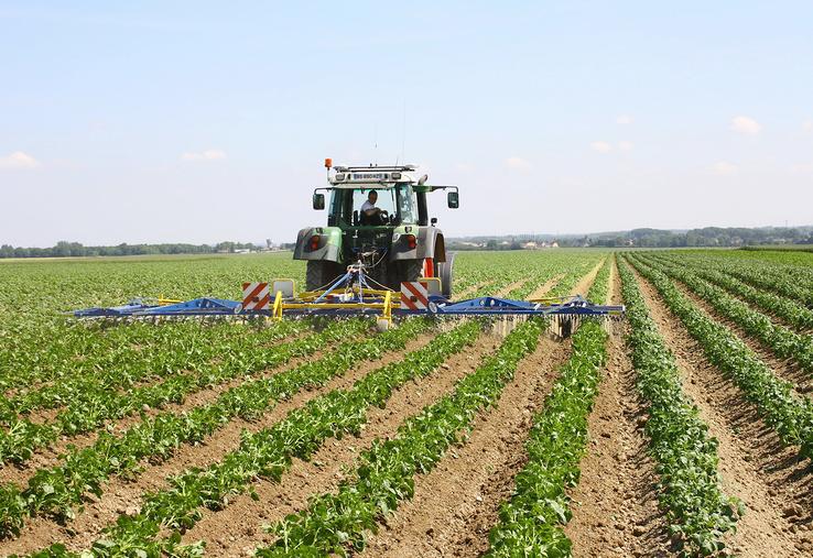 Qu’il soit chimique, mécanique ou combiné, la première étape du désherbage reste de bien définir sa cible, de manière  à adapter sa stratégie.