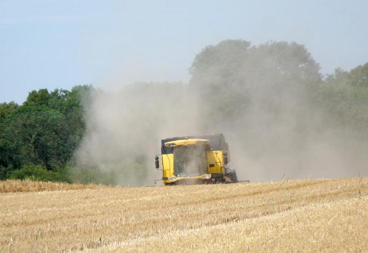 La filière souhaite doubler les surfaces de grandes cultures - céréales et oléoprotéagineux - biologiques en cinq ans.
