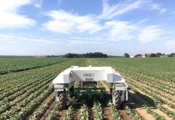 Parmi les leviers utilisés : le désherbage mécanique, avec notamment des robots comme Dino, de Naïo.