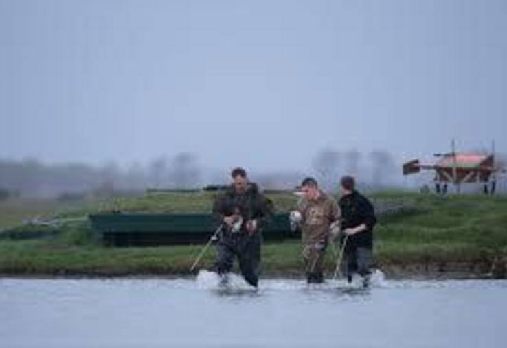 Pas de chasse pour les chasseurs au gibier d'eau malgré leur volonté de se positionner comme des sentinelles sanitaires tandis que le virus H5N8 refait surface.