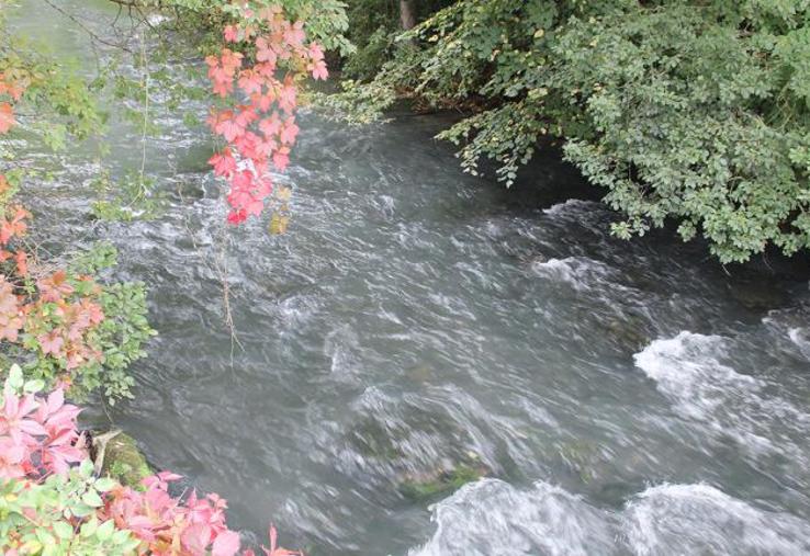 Deux études permettent de définir s'il y a lieu de mettre un PPRI dans la vallée de l'Authie.