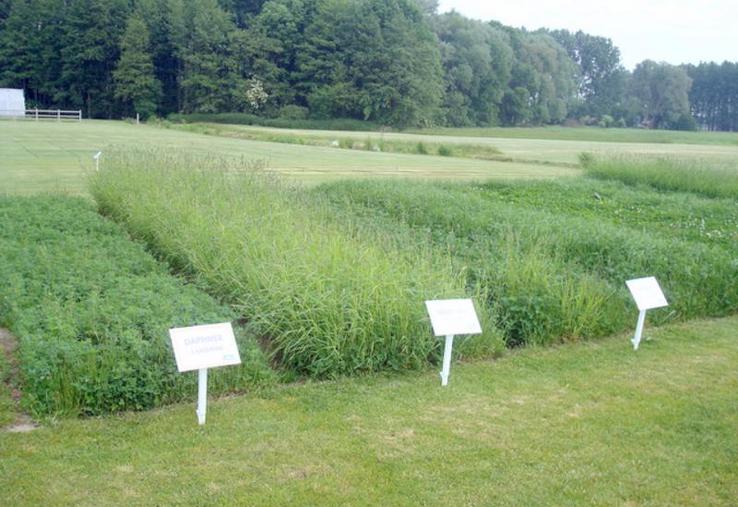 Une grande diversité d'espèces et de variétés permet de répondre aux attentes des éleveurs.