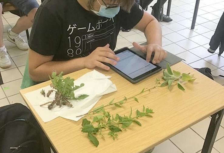 Les cours ont repris «progressivement» dans les lycées agricoles de la Somme.